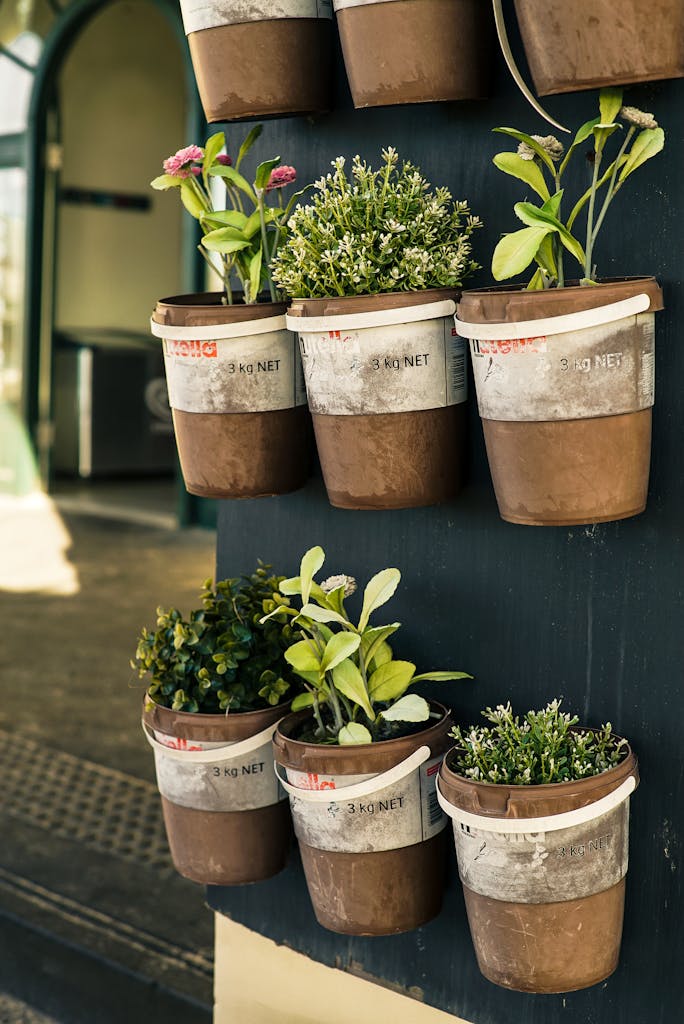 A charming arrangement of potted growing herbs and flowers in a vertical garden adds a touch of greenery to a modern space.
